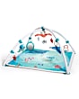 3333120701_tinylove_activitygym_treasuretheocean_2in1musicalmobilegymini