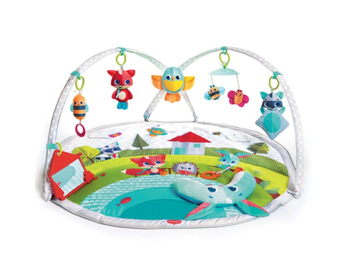 3333120504_tinylove_activitygym_meadowdays_dynamicgymini